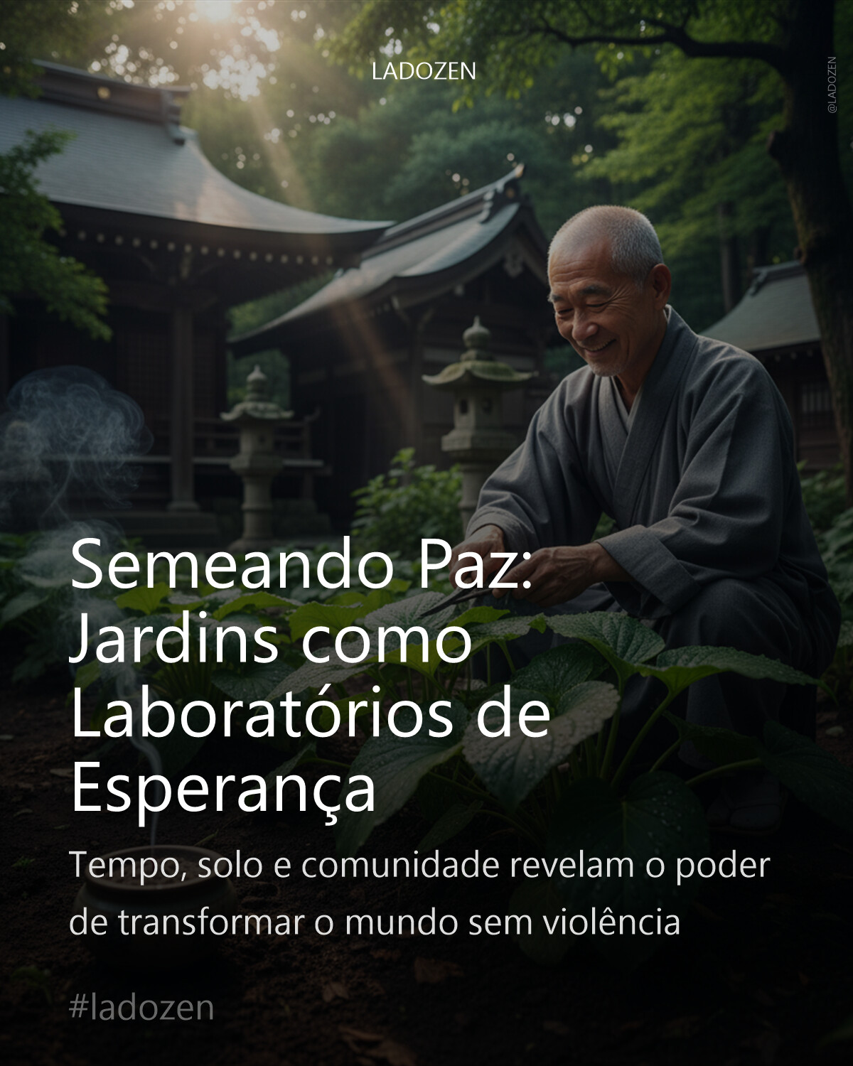 Semeando Paz: Jardins como Laboratórios de Esperança