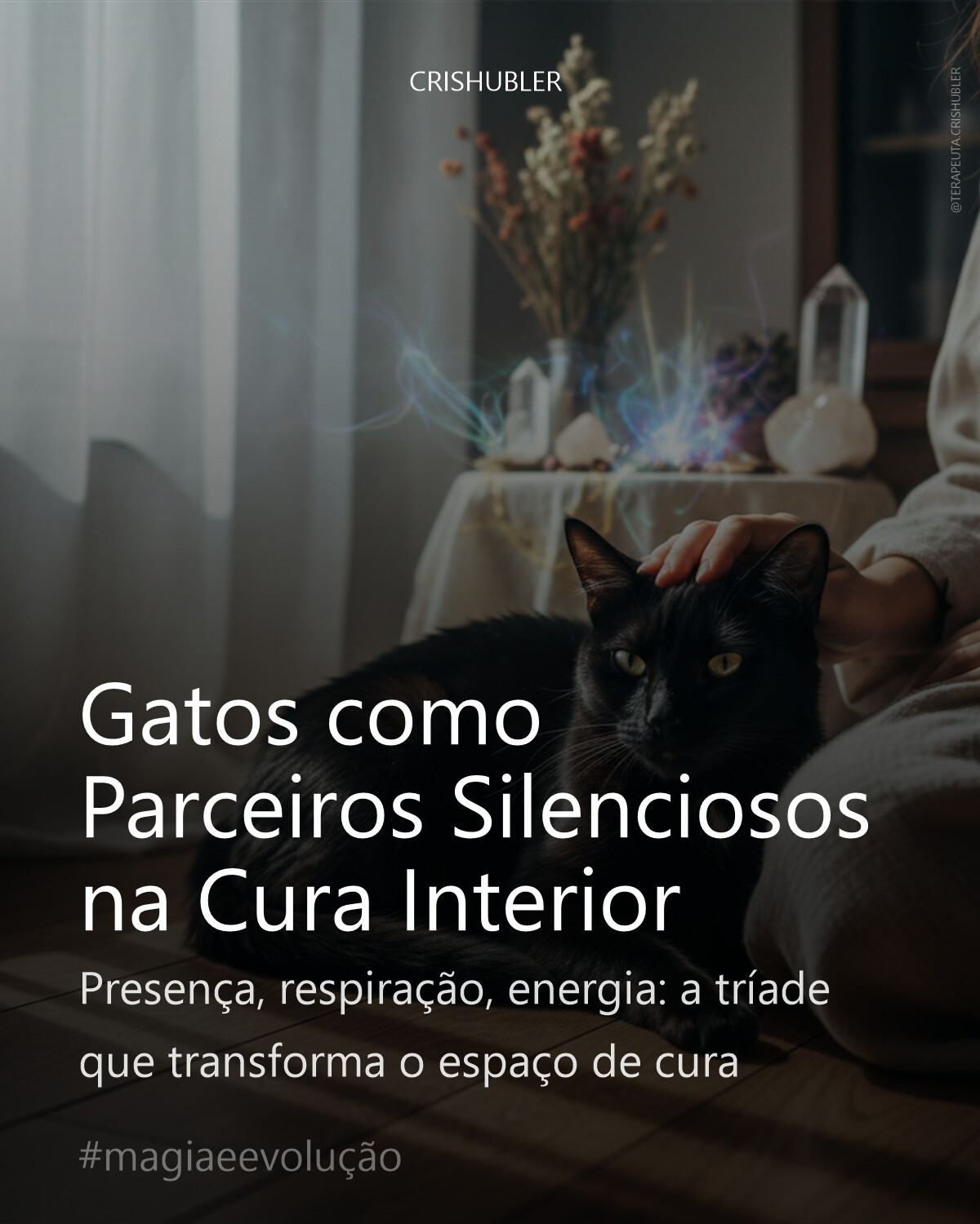 Gatos como Parceiros Silenciosos na Cura Interior