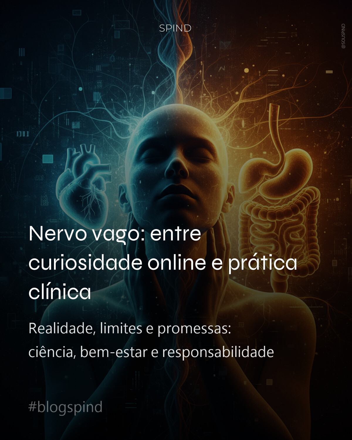 Nervo vago: entre curiosidade online e prática clínica
