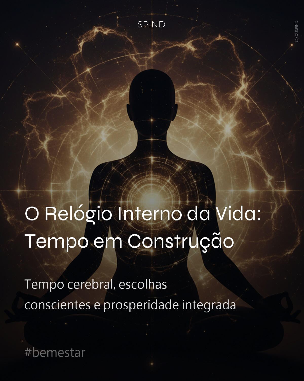 O Relógio Interno da Vida: Tempo em Construção