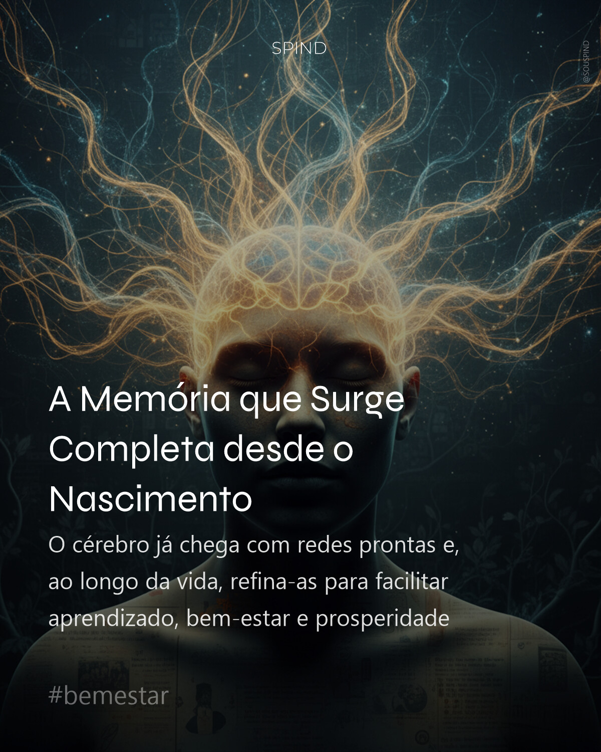 A Memória que Surge Completa desde o Nascimento