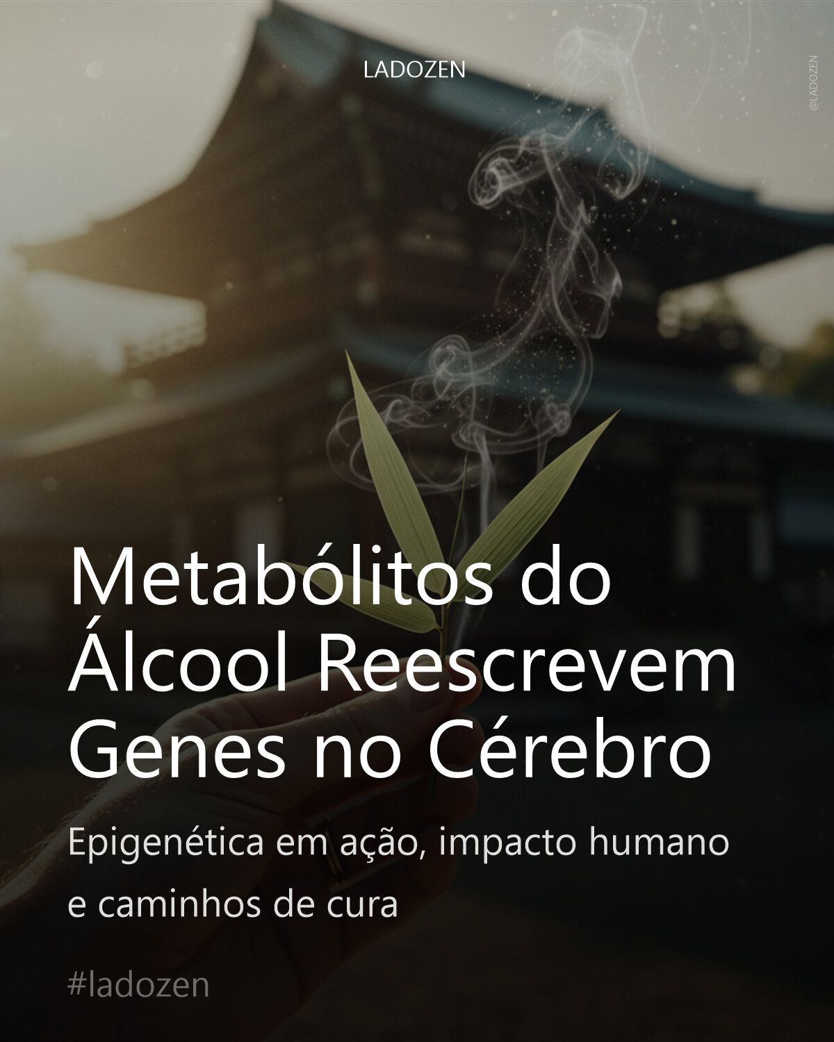 Metabólitos do Álcool Reescrevem Genes no Cérebro