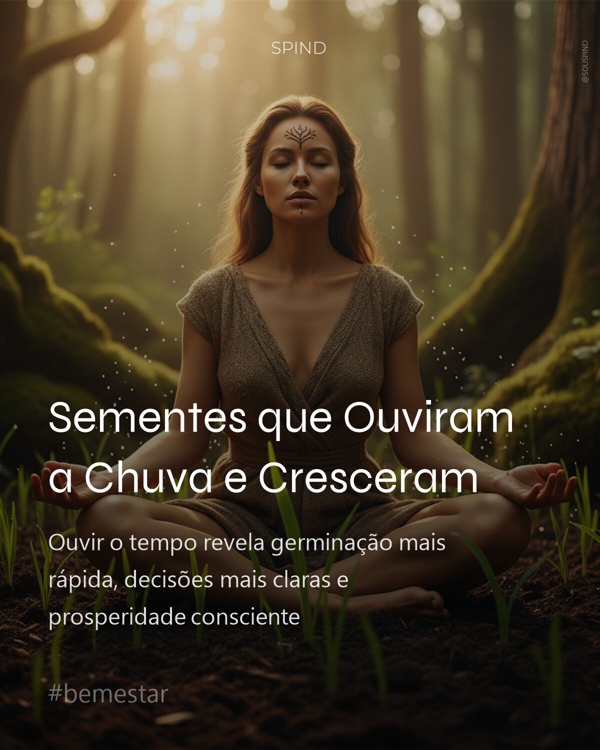 Sementes que Ouviram a Chuva e Cresceram