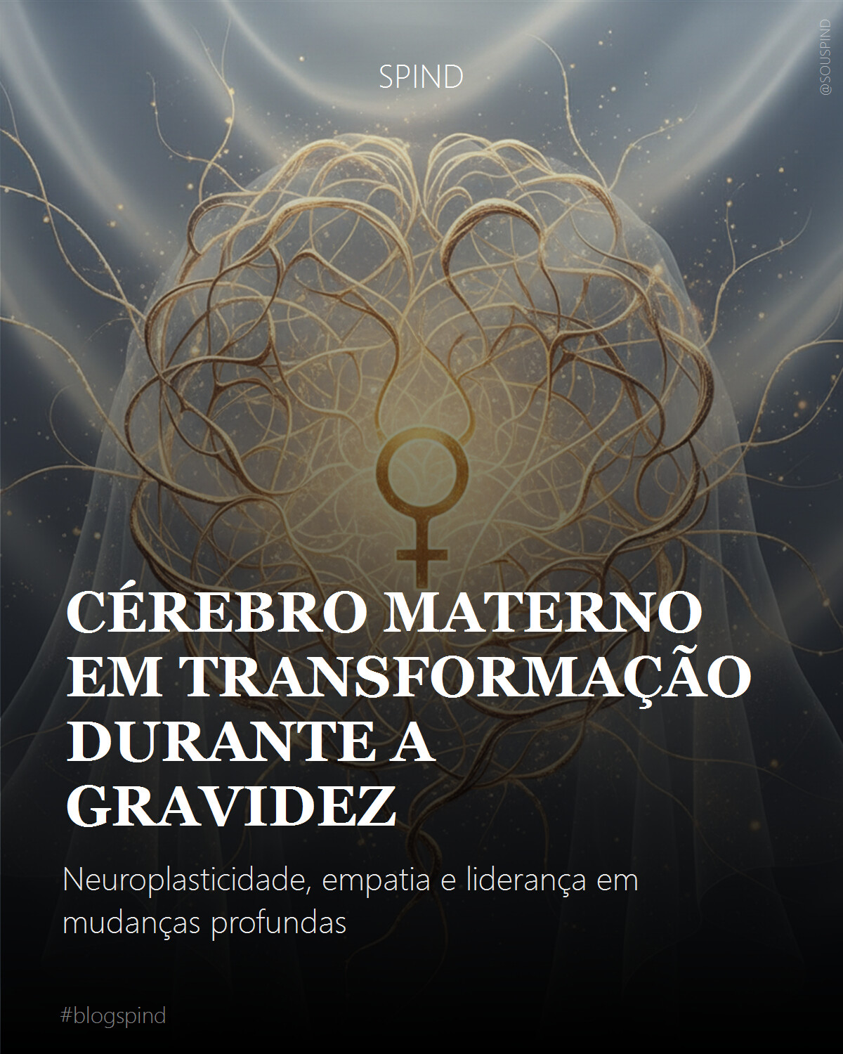 Cérebro materno em transformação durante a gravidez