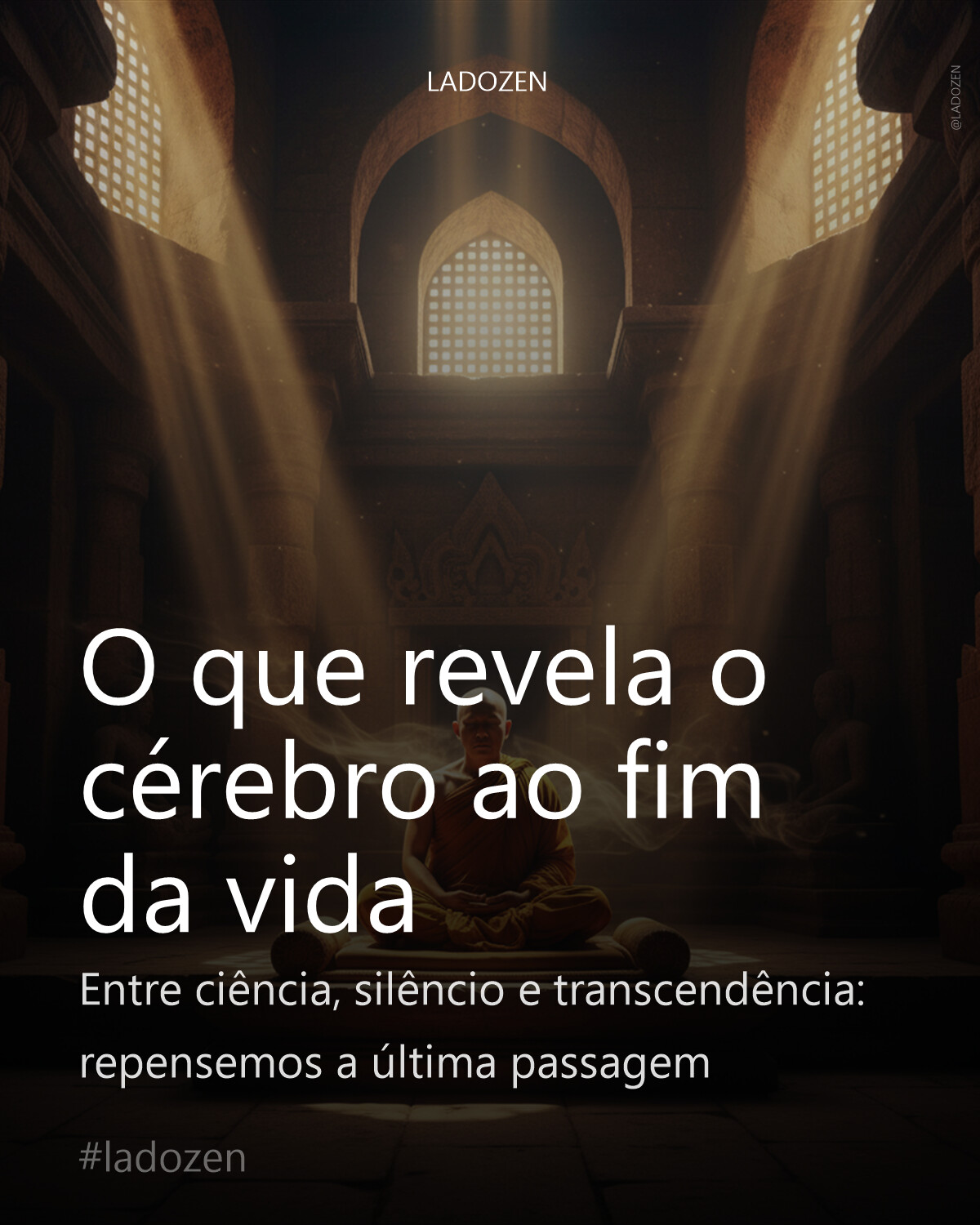 O que revela o cérebro ao fim da vida