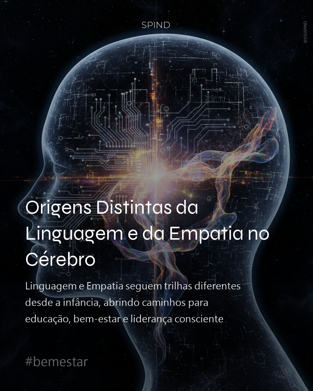 Origens Distintas da Linguagem e da Empatia no Cérebro