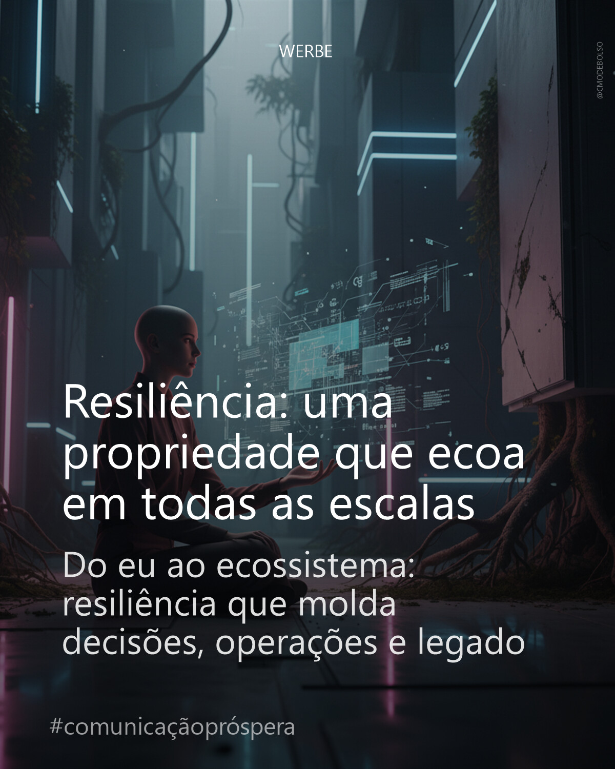 Resiliência: uma propriedade que ecoa em todas as escalas