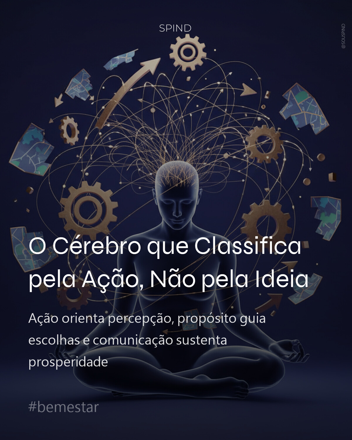 O Cérebro que Classifica pela Ação, Não pela Ideia