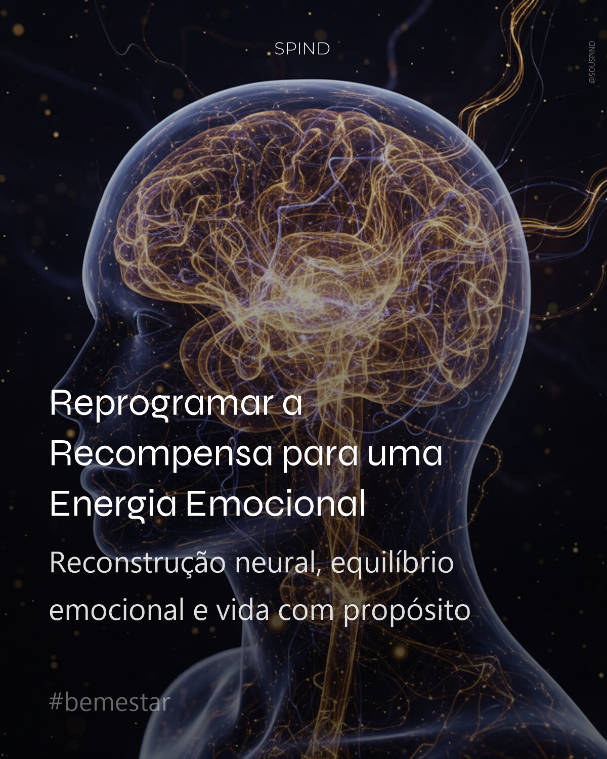 Reprogramar a Recompensa para uma Energia Emocional