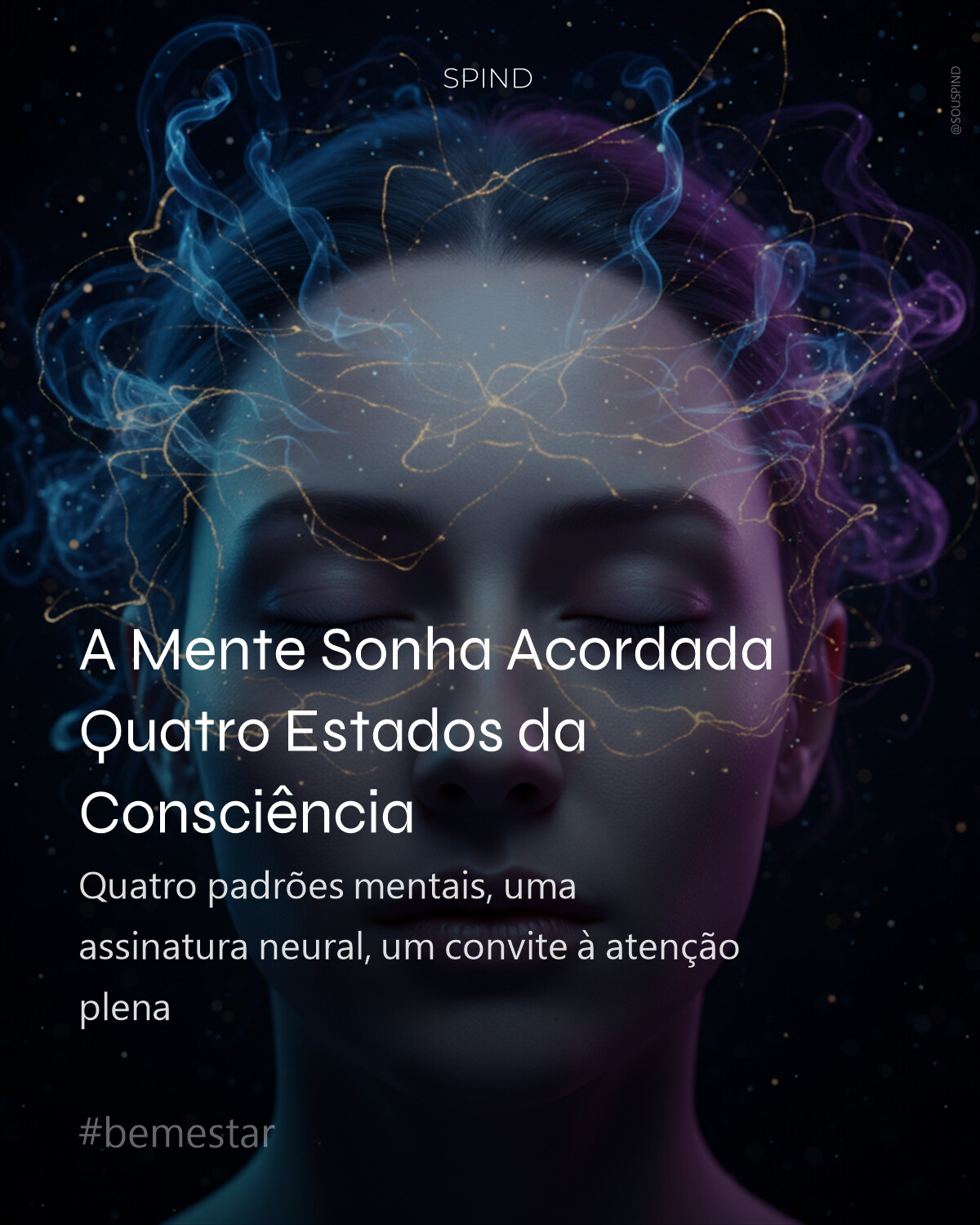 A Mente Sonha Acordada Quatro Estados da Consciência