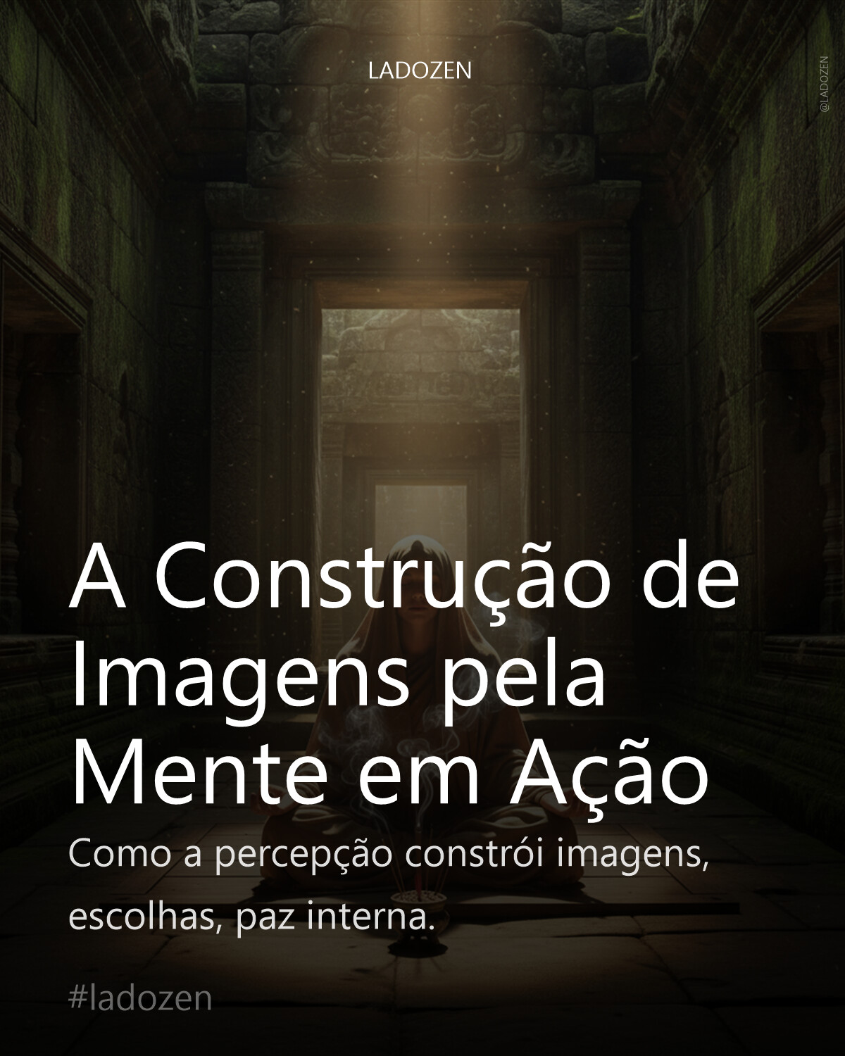 A Construção de Imagens pela Mente em Ação