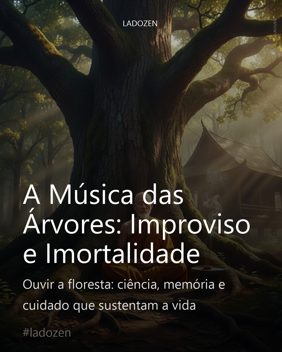 A Música das Árvores: Improviso e Imortalidade