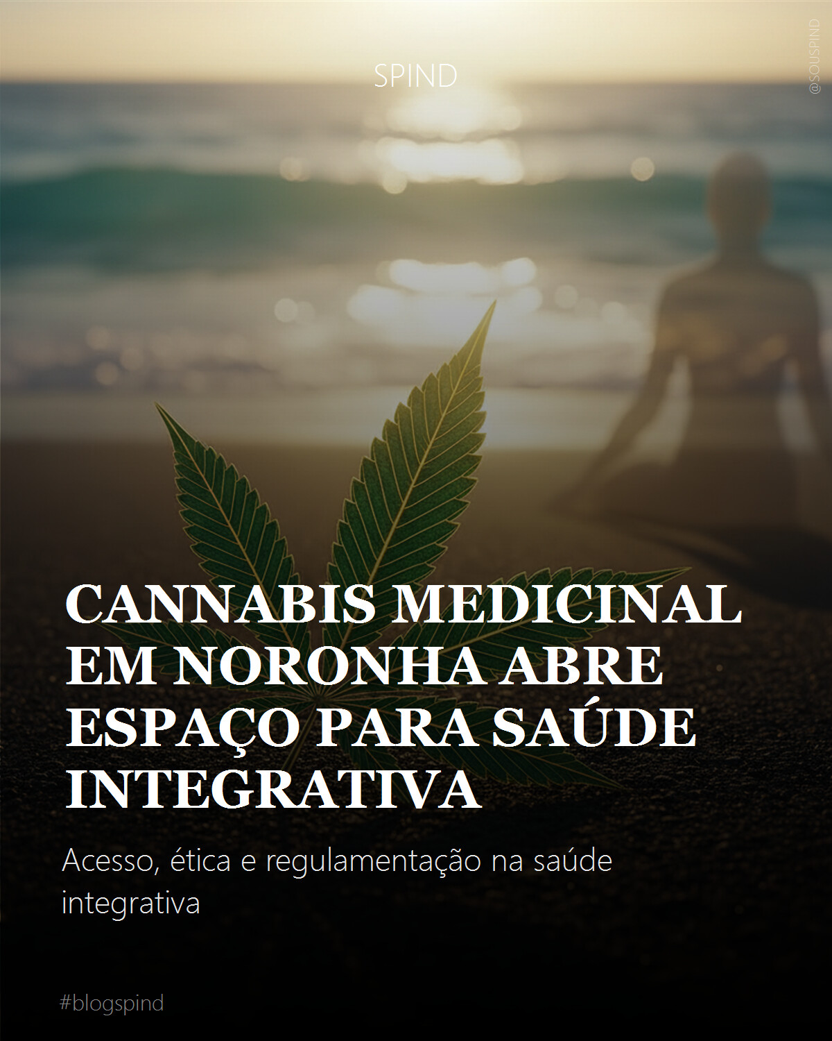 Cannabis medicinal em Noronha abre espaço para saúde integrativa