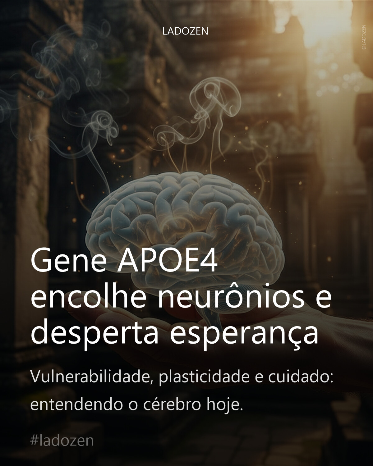 Gene APOE4 encolhe neurônios e desperta esperança