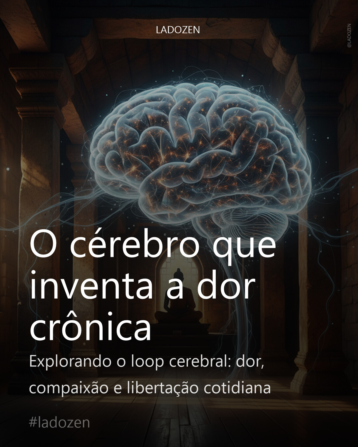 O cérebro que inventa a dor crônica