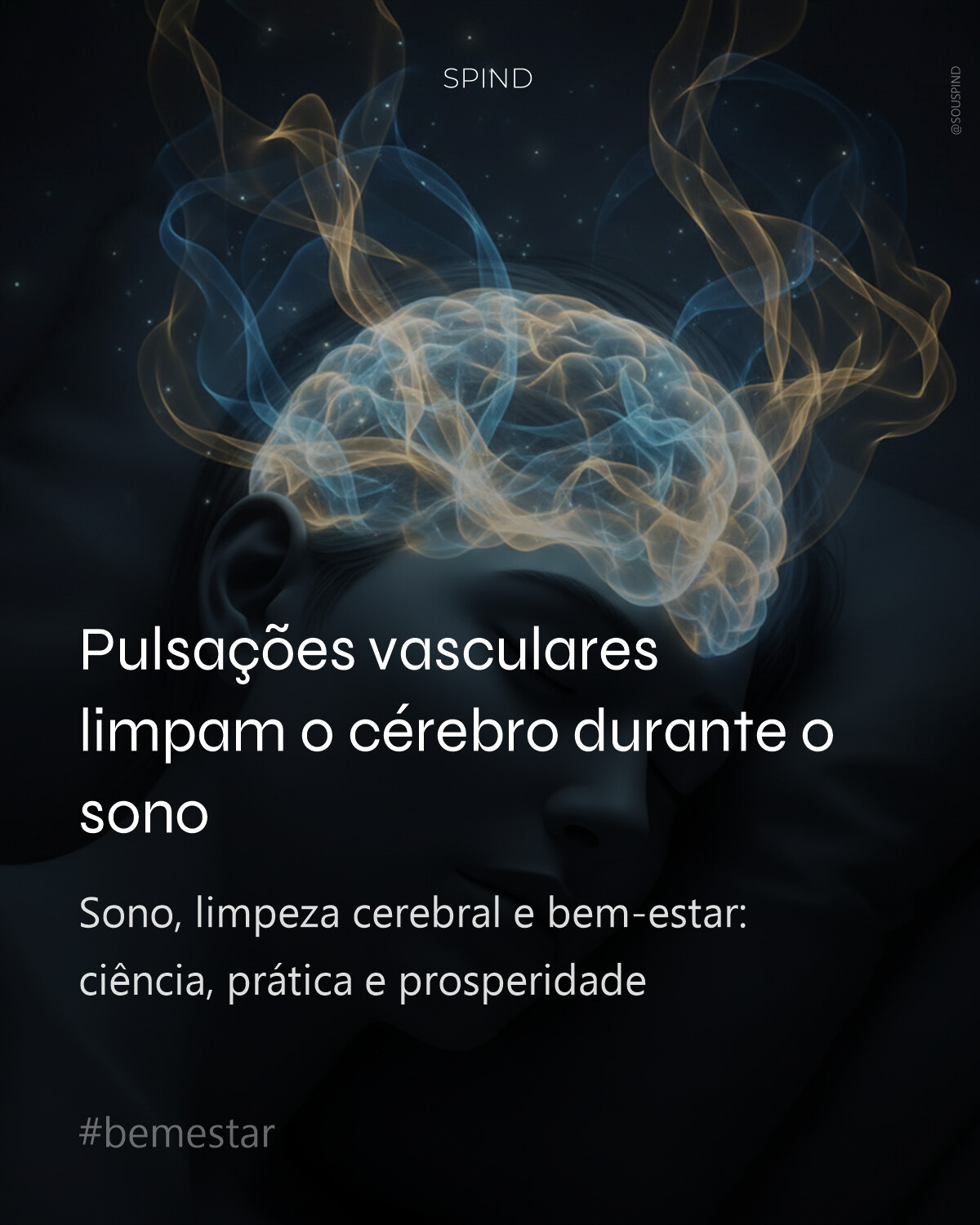 Pulsações vasculares limpam o cérebro durante o sono