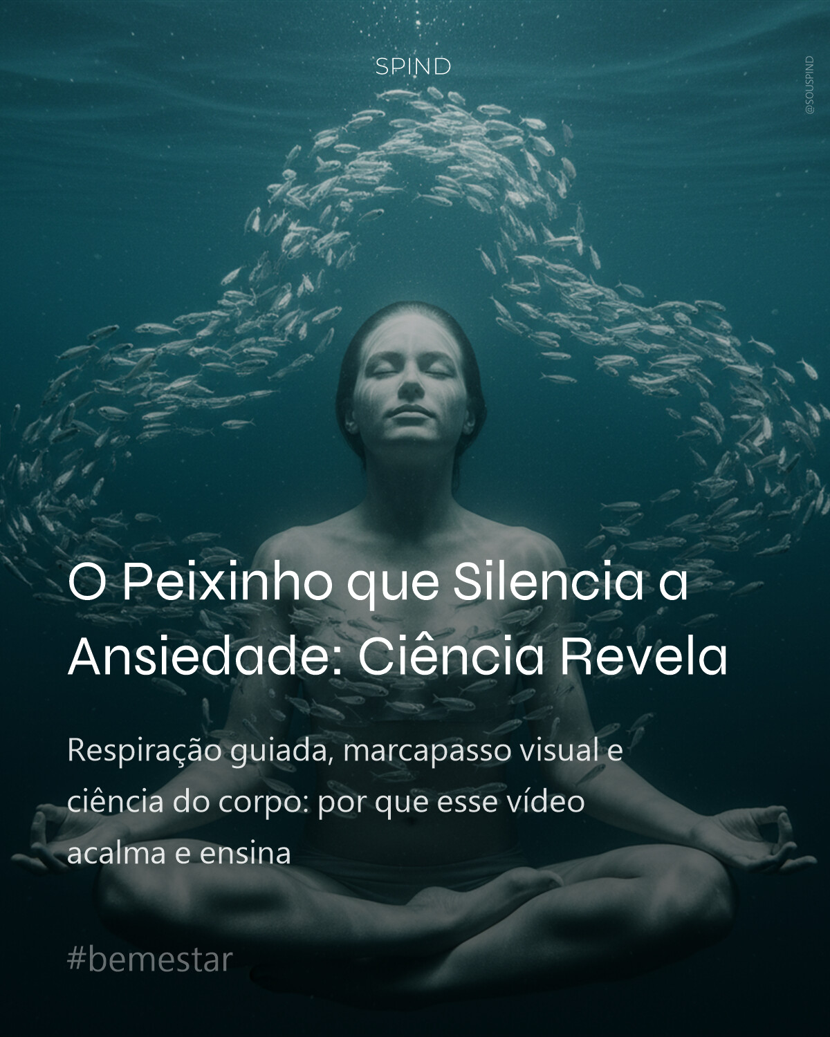 O Peixinho que Silencia a Ansiedade: Ciência Revela