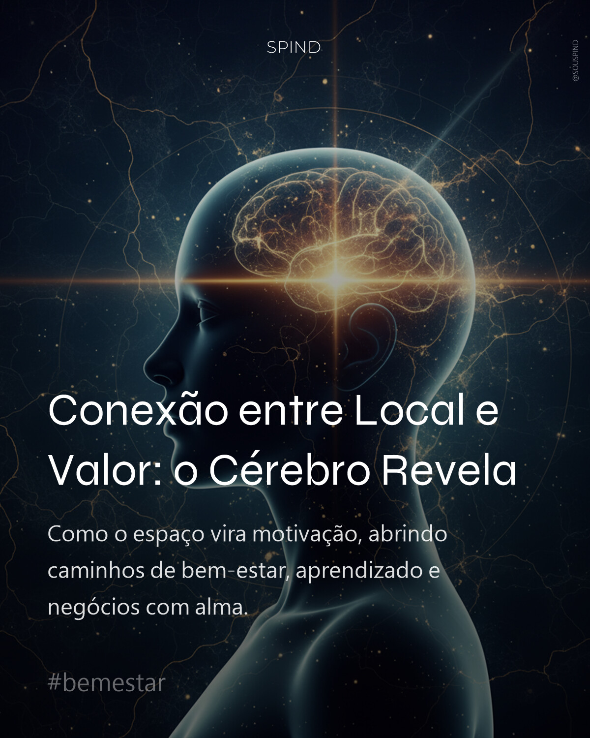 Conexão entre Local e Valor: o Cérebro Revela