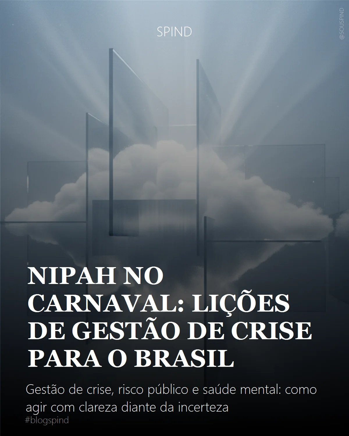 Nipah no Carnaval: Lições de gestão de crise para o Brasil: Gestão de crise, risco público e saúde mental: como agir com clareza diante da incerteza