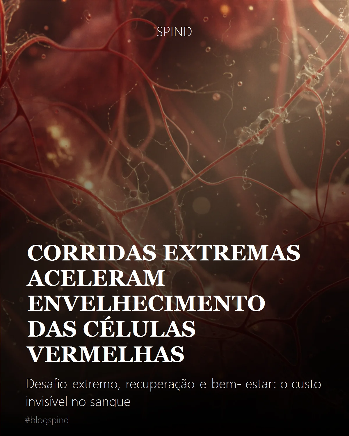 Corridas extremas aceleram envelhecimento das células vermelhas