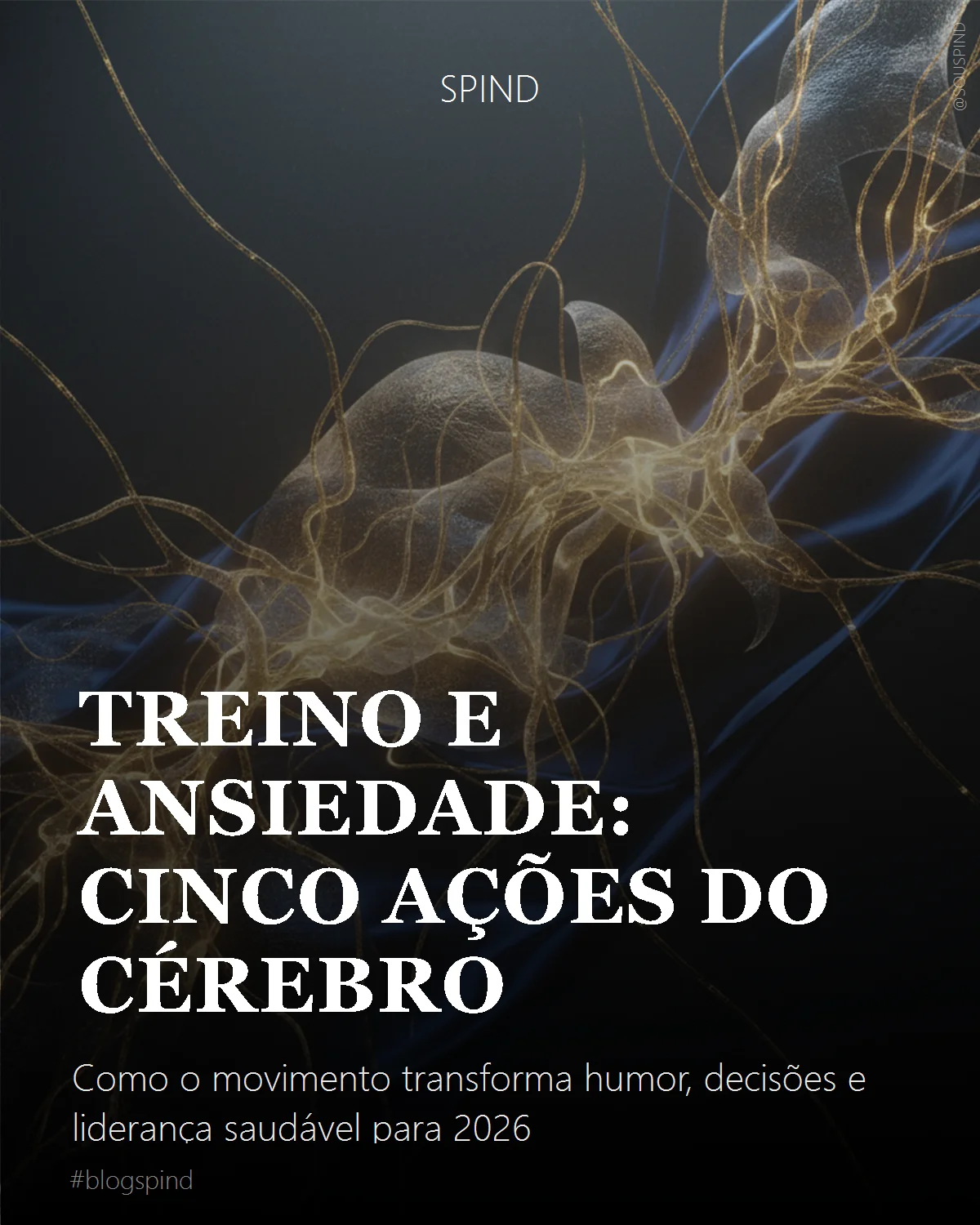 Treino e Ansiedade: Cinco Ações do Cérebro