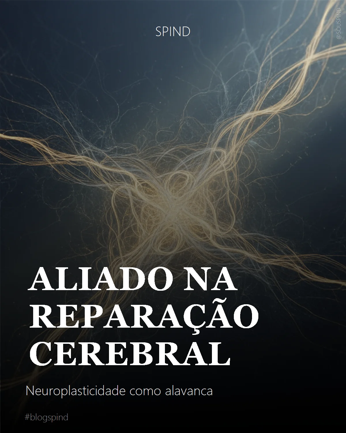 Aliado na Reparação Cerebral: Neuroplasticidade como alavanca